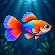 Poqua app icon