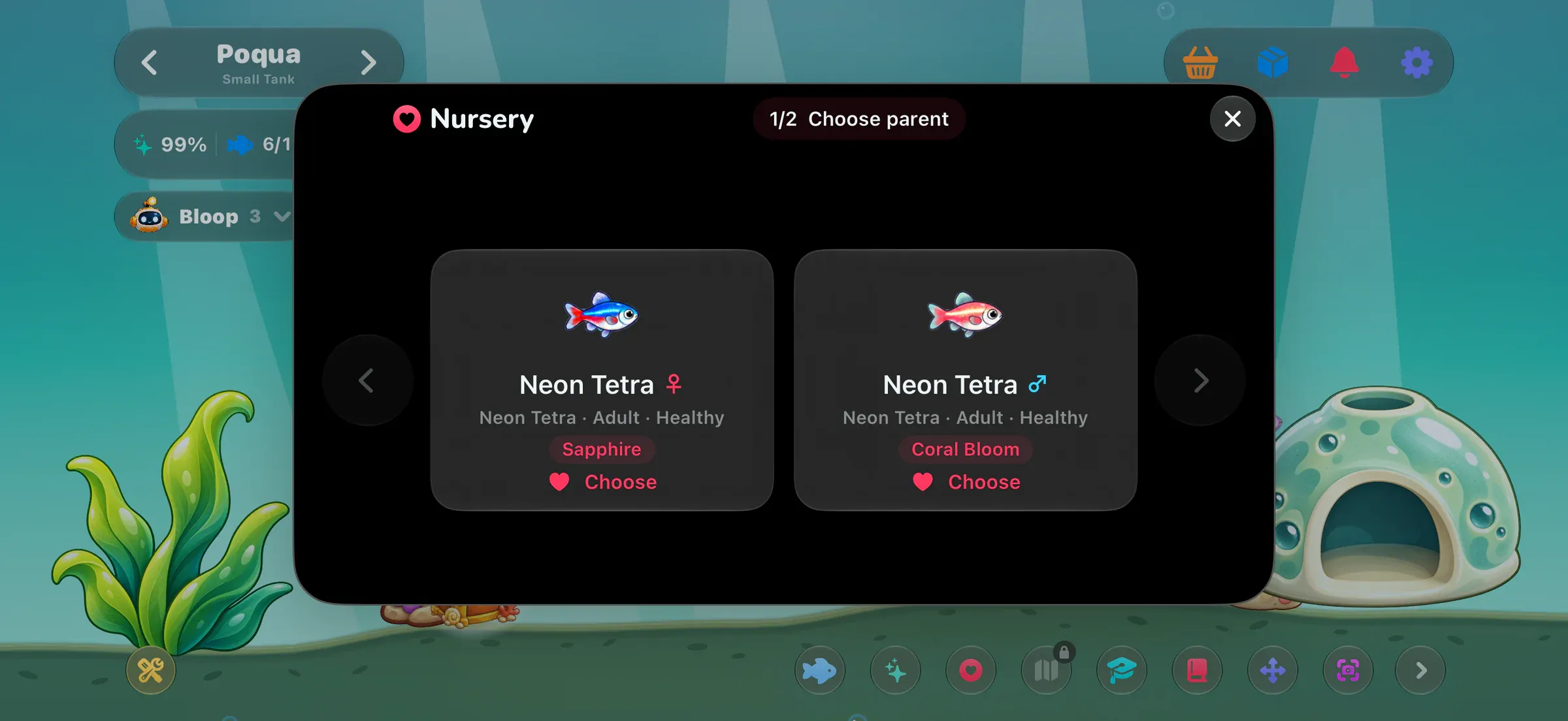 The Nursery choosing a pair of neon tetras in Sapphire and Coral Bloom colorways.